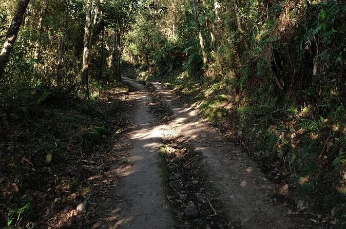 Visit to Chicaque Natural Park Private Tour from Bogotá. (8 Hrs.) - Price and value: when $289 makes sense