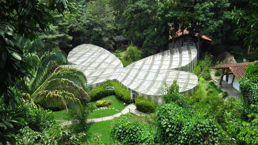 Walking tour José Celestino Mutis Botanical Garden 3 hrs - A guided orchid walk at the José Celestino Mutis Botanical Garden