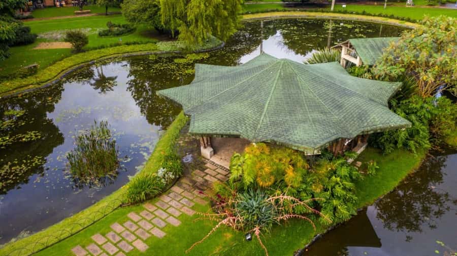 Walking tour José Celestino Mutis Botanical Garden 3 hrs - How the 3-hour format works (and why it feels manageable)
