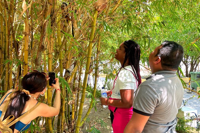 Walking tour of the magical city of Cartagena. - Plaza de Santo Domingo and the Clock Tower finale in the walled city