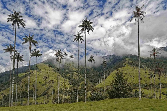 Wax Palms, Salento and Coffee Private Full Day Tour - Included entrance fees and transport: what that means for your budget