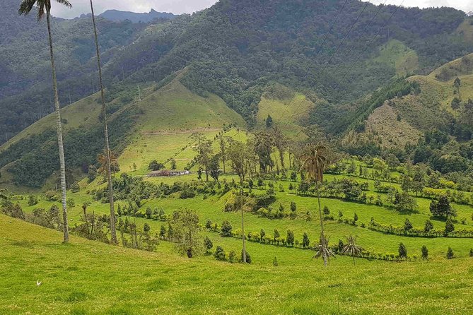 Wax Palms, Salento and Coffee Private Full Day Tour - Stop 1: Bosques de Cocora and the Salento Mirador lookout